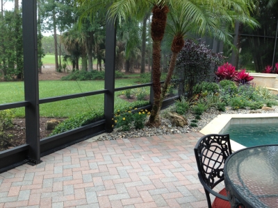 critter protection naples, cape coral, ft myers,